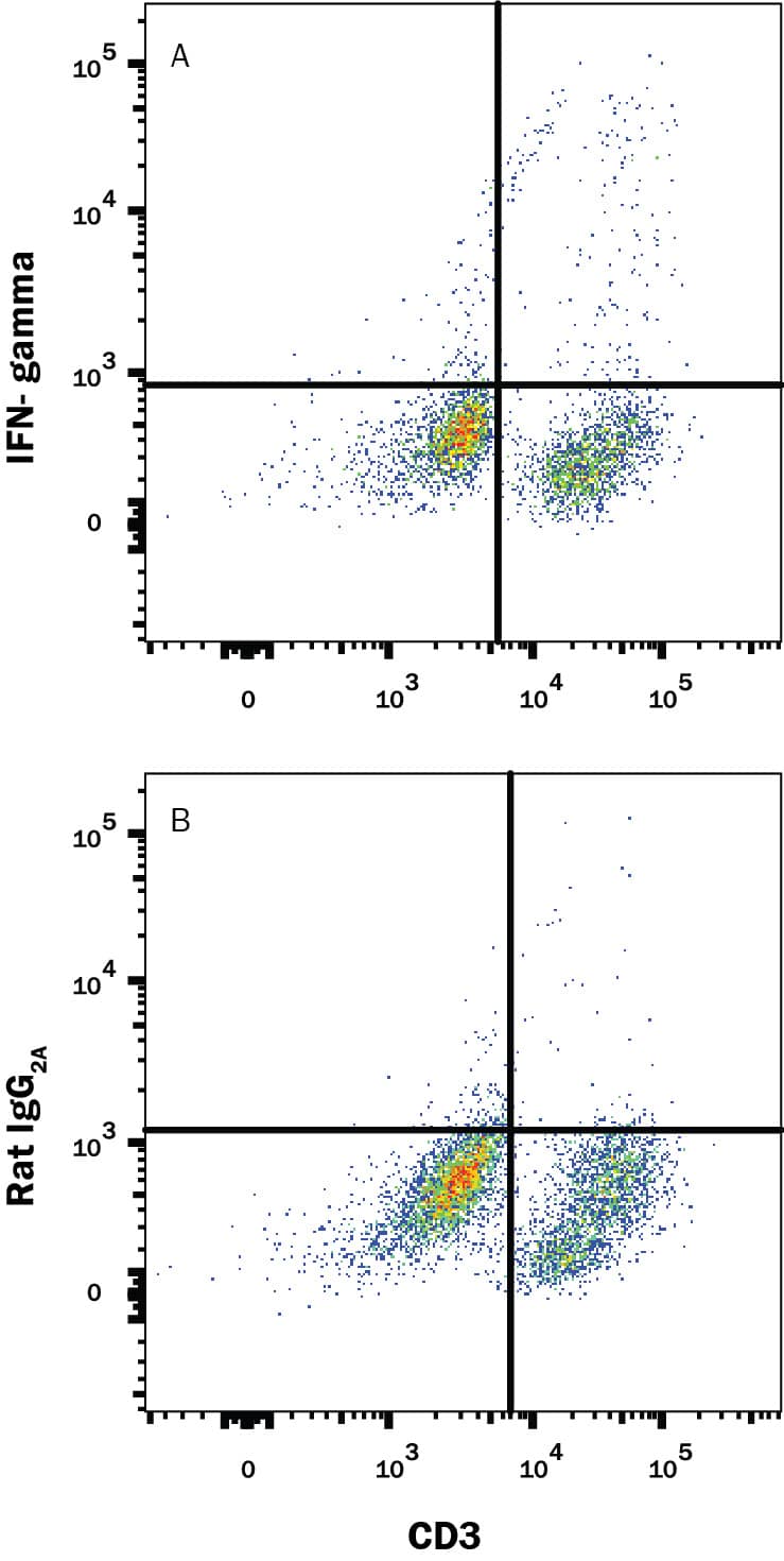 Mouse splenocytes were stained with Rat Anti-Mouse CD28 Alexa Fluor® 488-conjugated Monoclonal Antibody (Catalog # FAB4832G) and either (A) Rat Anti-Mouse IFN-gamma Monoclonal Antibody (Catalog # MAB485R) or (B) Rat IgG2AIsotype Control (Catalog # MAB006) followed by Phycoerythrin-conjugated Anti-Rat IgG Secondary Antibody (Catalog # F0105B). To facilitate intracellular staining, cells were fixed with Flow Cytometry Fixation Buffer (Catalog # FC004) and permeabilized with Flow Cytometry Permeabilization/Wash Buffer I (Catalog # FC005). View our protocol for Staining Intracellular Molecules.
