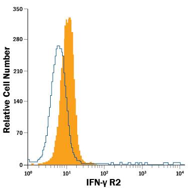 Human granulocytes were stained with Goat Anti-Human IFN-gamma R2 Fluorescein-conjugated Antigen Affinity-purified Polyclonal Antibody (Catalog # FAB773F, filled histogram) or isotype control antibody (Catalog # IC108F, open histogram). View our protocol for Staining Membrane-associated Proteins.