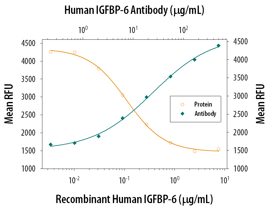 Neutralization IGFBP-6 Antibody
