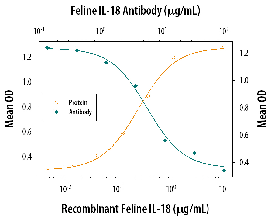 In the presence of Recombinant Human TNF‑ alpha  (Catalog # 210‑TA), Recombinant Feline IL‑18/IL‑1F4 (Catalog # 5989‑RM) stimulates IFN‑ gamma  secretion in the KG‑1 human acute myelogenous leukemia cell line in a dose-dependent manner (orange line), as measured by the Human IFN‑ gamma  Quantikine ELISA Kit (Catalog # DIF50). Under these conditions, IFN‑ gamma  secretion elicited by Recombinant Feline IL‑18/IL‑1F4 (1 µg/mL) is neutralized (green line) by increasing concentrations of Sheep Anti-Feline IL‑18/IL‑1F4 Antigen Affinity-purified Polyclonal Antibody (Catalog # AF5989). The ND50 is typically 2‑12 µg/mL.