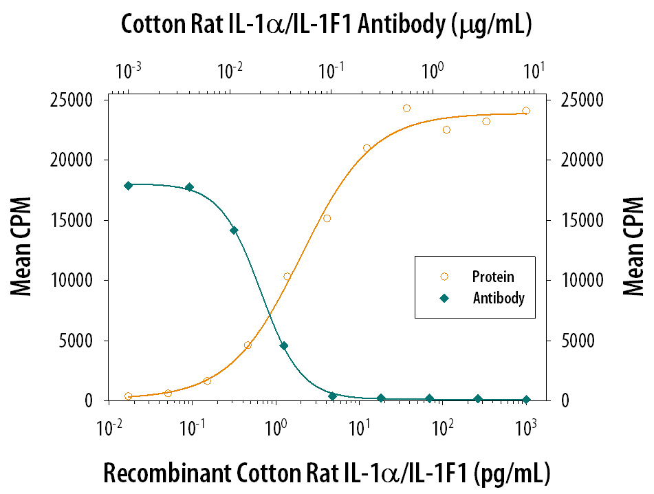 Recombinant Cotton Rat IL-1 alpha /IL-1F1 (Catalog # 552‑R1) stimulates proliferation in the the D10.G4.1 mouse helper T cell line in a dose-dependent manner (orange line). Proliferation elicited by Recombinant Cotton Rat IL-1 alpha /IL-1F1 (50 pg/mL) is neutralized (green line) by increasing concentrations of Goat Anti-Cotton Rat IL-1 alpha /IL-1F1 Antigen Affinity-purified Polyclonal Antibody (Catalog # AF552). The ND50 is typically 0.006-0.036 µg/mL.