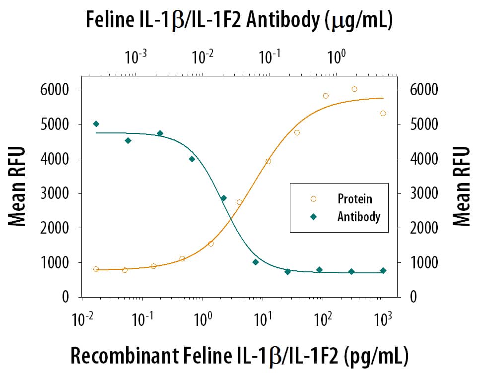 Recombinant Feline IL‑1 beta /IL‑1F2 (Catalog # 1796‑FL) stimulates proliferation in the the D10.G4.1 mouse helper T cell line in a dose-dependent manner (orange line). Proliferation elicited by Recombinant Feline IL‑1 beta /IL‑1F2 (50 pg/mL) is neutralized (green line) by increasing concen­trations of Goat Anti-Feline IL‑1 beta /IL‑1F2 Antigen Affinity-purified Polyclonal Antibody (Catalog # AF1796). The ND50 is typically 0.02‑0.08 µg/mL.