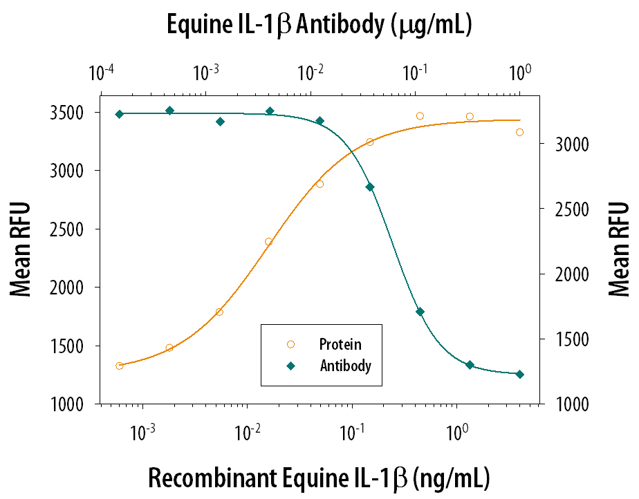 Recombinant Equine IL‑1 beta /IL‑1F2 (Catalog # 3340‑EL) stimulates proliferation in the D10.G4.1 mouse helper T cell line in a dose-dependent manner (orange line). Proliferation elicited by Recombinant Equine IL‑1 beta /IL‑1F2 (100 pg/mL) is neutralized (green line) by increasing concentrations of Goat Anti‑Equine IL‑1 beta /IL‑1F2 Antigen Affinity‑purified Poly­clonal Antibody (Catalog # AF3340). The ND50 is typically 0.05‑0.25 µg/mL.
