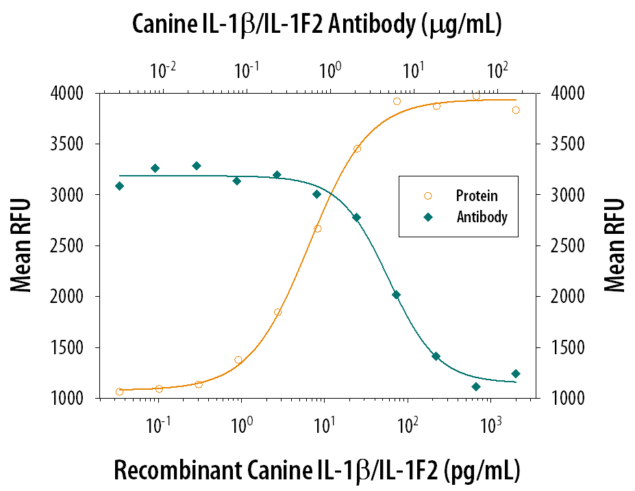 Recombinant Canine IL‑1 beta /IL‑1F2 (Catalog # 3747‑CL) stimulates proliferation in the the D10.G4.1 mouse helper T cell line in a dose-dependent manner (orange line). Proliferation elicited by Recombinant Canine IL‑1 beta /IL‑1F2 (20 pg/mL) is neutralized (green line) by increasing concentrations of Goat Anti-Canine IL‑1 beta /IL‑1F2 Antigen Affinity-purified Polyclonal Antibody (Catalog # AF3747). The ND50 is typically 2‑10 µg/mL.