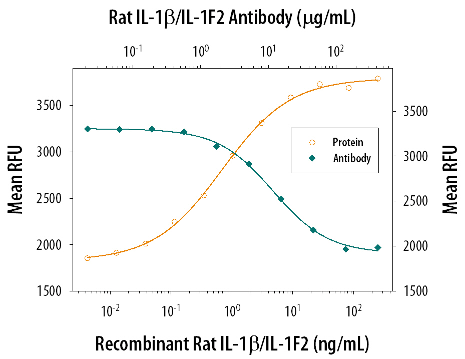 Recombinant Rat IL‑1 beta /IL‑1F2 (Catalog # 501-RL) stimulates proliferation in the the D10.G4.1 mouse helper T cell line in a dose-dependent manner (orange line). Proliferation elicited by Recombinant Rat IL‑1 beta /IL‑1F2 (4 ng/mL) is neutralized (green line) by increasing concentrations of Mouse Anti-Rat IL‑1 beta /IL‑1F2 Monoclonal Antibody (Catalog # MAB501). The ND50 is typically 10-30 µg/mL.
