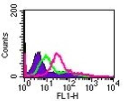 Flow Cytometry: IL-24 Antibody [NB100-56407] - Cell surface flow cytometry analysis of IL-24 in Jurkat cells using this antibody at 5 ug/10^6 cells. The shaded histogram represents cells only, green represents isotype control antibody, and red represents this antibody.