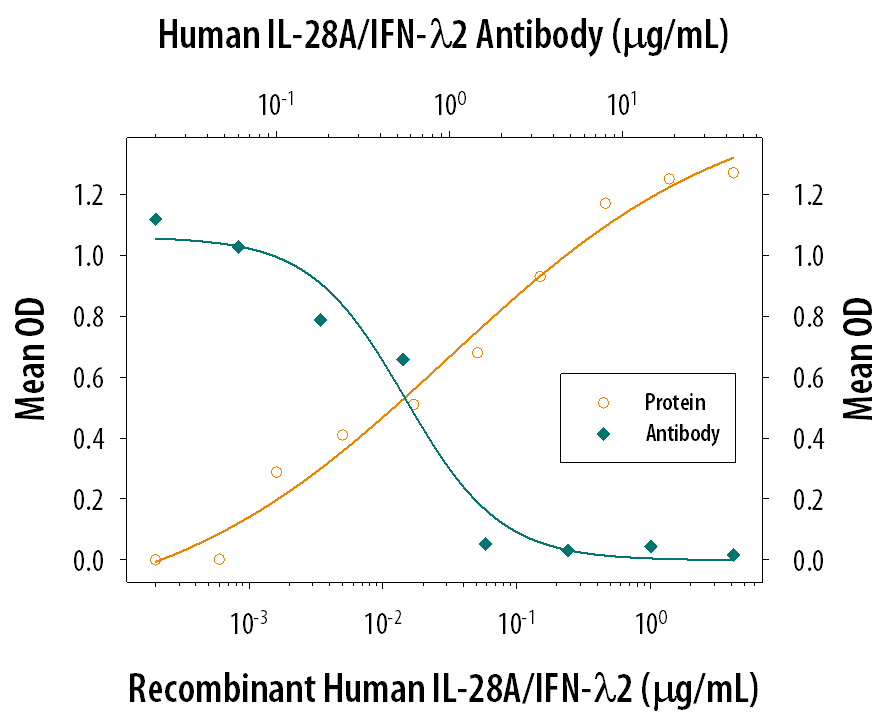 Recombinant Human IL‑28A/IFN‑ lambda 2 (Catalog # 1587‑IL) reduces the Encephalomyocarditis Virus (EMCV)-induced cytopathy in the HepG2 human hepatocellular carcinoma cell line in a dose-dependent manner (orange line), as measured by crystal violet staining. Inhibition of EMCV activity elicited by Recombinant HumanIL‑28A/IFN‑ lambda 2 (0.1 µg/mL) is neutralized (green line) by increasing concentrations of Goat Anti-Human IL‑28A/IFN‑ lambda 2 Antigen Affinity-purified Polyclonal Antibody (Catalog # AF1587). The ND50 is typically 0.3-1.5 µg/mL.