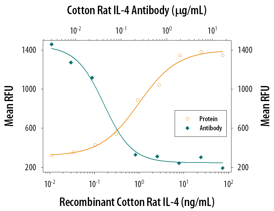 Recombinant Cotton Rat IL‑4 (Catalog # 584-R4) stimulates proliferation in the rat splenocytes in a dose-dependent manner (orange line). Proliferation elicited by Recombinant Cotton Rat IL‑4 (10 ng/mL) is neutral­ized (green line) by increasing concentrations of Goat Anti-Cotton Rat IL‑4 Antigen Affinity-purified Poly­clonal Antibody (Catalog # AF584). The ND50 is typically 0.075-0.3 µg/mL in the presence of PHA (10 µg/mL).
