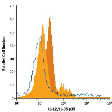 Human peripheral blood mononuclear cells (PBMCs) either untreated (light orange filled histogram) or treated with LPS (dark orange filled histogram) were stained with Mouse Anti-Human/Mouse IL-12/IL-35 p35 Fluorescein-conjugated Monoclonal Antibody (Catalog # IC2191F) or isotype control antibody (Catalog # IC002F, open histogram). To facilitate intracellular staining, cells were fixed with Flow Cytometry Fixation Buffer (Catalog # FC004) and permeabilized with Flow Cytometry Permeabilization/Wash Buffer I (Catalog # FC005). View our protocol for Staining Intracellular Molecules.