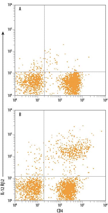 Human peripheral blood mononuclear cells (PBMCs) either (A) untreated or (B) treated with 5 ng/mL Recombinant Human IL‑12 (Catalog # 219-IL) and 10 μg/mLGoat Anti-Human IL‑4 Polyclonal Antibody (Catalog # AB-204-NA) for 3 days to induce Th1 development were stained with Mouse Anti-Human/Mouse IL‑12 R beta 2 Alexa Fluor® 488‑conjugated Monoclonal Antibody (Catalog # FAB1959G) and Mouse Anti-Human CD4 APC‑conjugated Monoclonal Antibody (Catalog # FAB3791A). Quadrant markers were set based on control antibody staining (Catalog # IC002G). View our protocol for Staining Membrane-associated Proteins. 