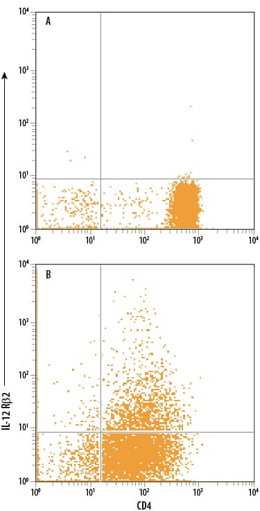 Human CD4+ peripheral blood mononuclear cells (PBMCs) either (A) untreated or (B) treated with 1 ug/mL plate-bound Mouse Anti-Human CD3 epsilon  Monoclonal Antibody (Catalog # MAB100), 10 ng/mL Recombinant Human IL‑12 (Catalog # 219-IL), and 10 ng/mL Recombinant Human IL‑2 (Catalog # 202-IL) for 5 days to induce Th1 cell development, followed by restimulation with 50 ng/mL PMA and 200 ng/mL Calcium Ionomycin for 2 to 3 hours, were stained with Mouse Anti-Human CD4 APC‑conjugated Monoclonal Antibody (Catalog # FAB3791A) and Mouse Anti-Human/Mouse IL‑12 R beta 2 PE‑conjugated Monoclonal Antibody (Catalog # FAB1959P). Quadrant markers were set based on staining using Mouse IgG1 Phycoerythrin Isotype Control (Catalog # IC002P). View our protocol for Staining Membrane-associated Proteins. 