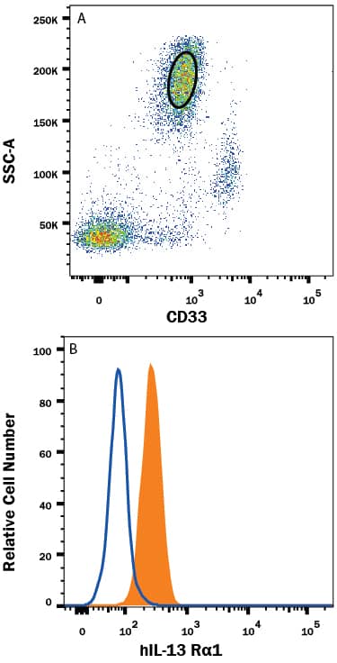 Human peripheral blood granulocytes were stained with (A) Mouse Anti-Human Siglec-3/CD33 PE-conjugated Monoclonal Antibody (Catalog # FAB1137P) and (B) Mouse Anti-Human IL-13 Ra1 Fluorescein-conjugated Monoclonal Antibody (Catalog # FAB1462F, filled histogram) or isotype control antibody (Catalog # IC0041F, open histogram). View our protocol for Staining Membrane-associated Proteins.