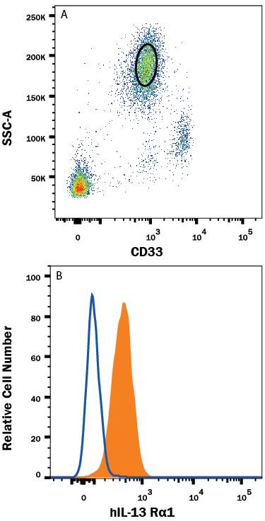 Human peripheral blood granulocytes were stained with (A) Mouse Anti-Human Siglec-3/CD33 PE-conjugated Monoclonal Antibody (Catalog # FAB1137P) and (B) Mouse Anti-Human IL-13 Ra1 Alexa Fluor® 700-conjugated Monoclonal Antibody (Catalog # FAB1462N, filled histogram) or isotype control antibody (Catalog # IC0041N, open histogram). View our protocol for Staining Membrane-associated Proteins.