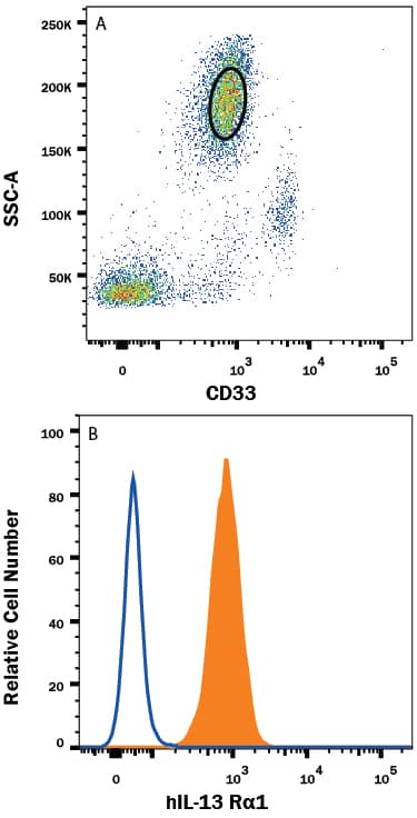 Human peripheral blood granulocytes were stained with (A) Mouse Anti-Human Siglec-3/CD33 APC-conjugated Monoclonal Antibody (Catalog # FAB1137A) and (B) Mouse Anti-Human IL-13 Ra1 PE-conjugated Monoclonal Antibody (Catalog # FAB1462P, filled histogram) or isotype control antibody (Catalog # IC0041P, open histogram). View our protocol for Staining Membrane-associated Proteins.