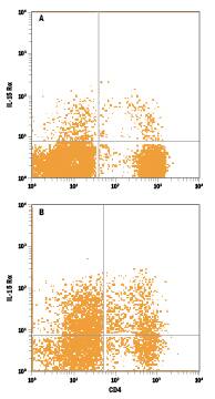Human peripheral blood mononuclear cells (PBMCs) either (A) untreated or (B) treated overnight with PHA were stained with Mouse Anti-Human IL-15 Ra Alexa Fluor® 488-conjugated Monoclonal Antibody (Catalog # FAB1471G) and Mouse Anti-Human CD4 APC-conjugated Monoclonal Antibody (Catalog # FAB3791A). Quadrant markers were set based on control antibody staining (Catalog # IC0041G). View our protocol for Staining Membrane-associated Proteins.