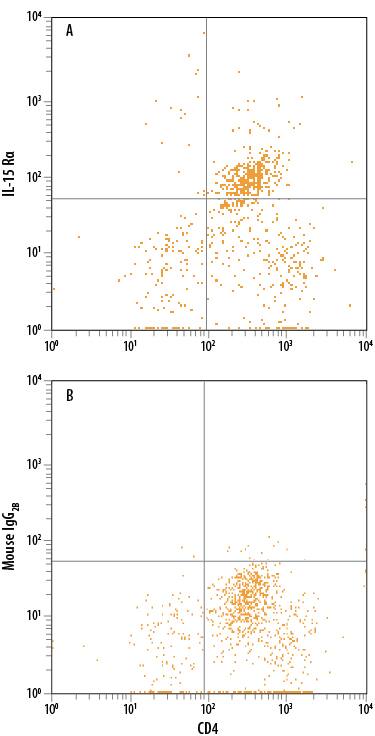 Human CD4+peripheral blood mononuclear cells (PBMCs) treated with 1 µg/mL PHA for 5 days were stained with Mouse Anti-Human CD4 PE-conjugated Monoclonal Antibody (Catalog # FAB3791P) and either (A) Mouse Anti-Human IL-15 Ra Alexa Fluor® 700-conjugated Monoclonal Antibody (Catalog # FAB1471N) or (B) Mouse IgG2BAlexa Fluor 700 Isotype Control (Catalog # IC0041N). View our protocol for Staining Membrane-associated Proteins.