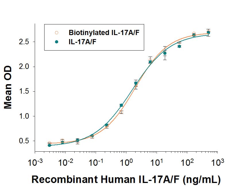 Both Biotinylated Recombinant Human IL-17A/F (Catalog # BT5837/CF) and unlabeled     Recombinant  Human IL‑17A/F Heterodimer (Catalog # 5837-IL)  induces IL-6 secretion by NIH‑3T3 mouse embryonic fibroblast cells. The ED50 for this effect is 0.4-2 ng/mL. The similarity in activity highlights that the biotinylated protein is fully functional.