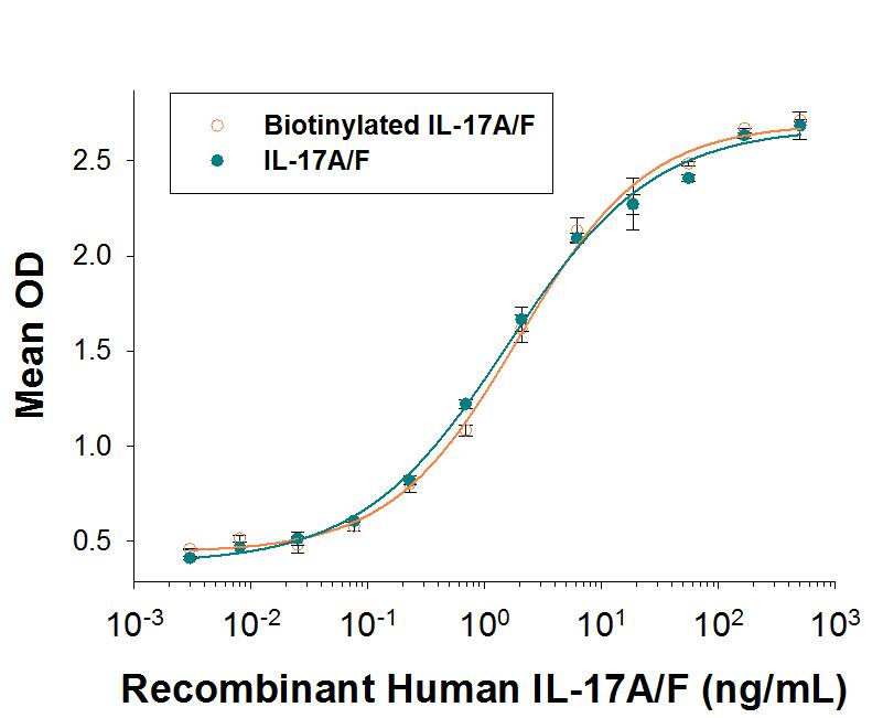Both Biotinylated Recombinant Human IL-17A/F (Catalog # BT5837) and unlabeled     Recombinant  Human IL‑17A/F Heterodimer (Catalog #5837-IL)  induces IL-6 secretion by NIH‑3T3 mouse embryonic fibroblast cells. The ED50 for this effect is 0.4-2 ng/mL. The similarity in activity highlights that the biotinylated protein is fully functional.