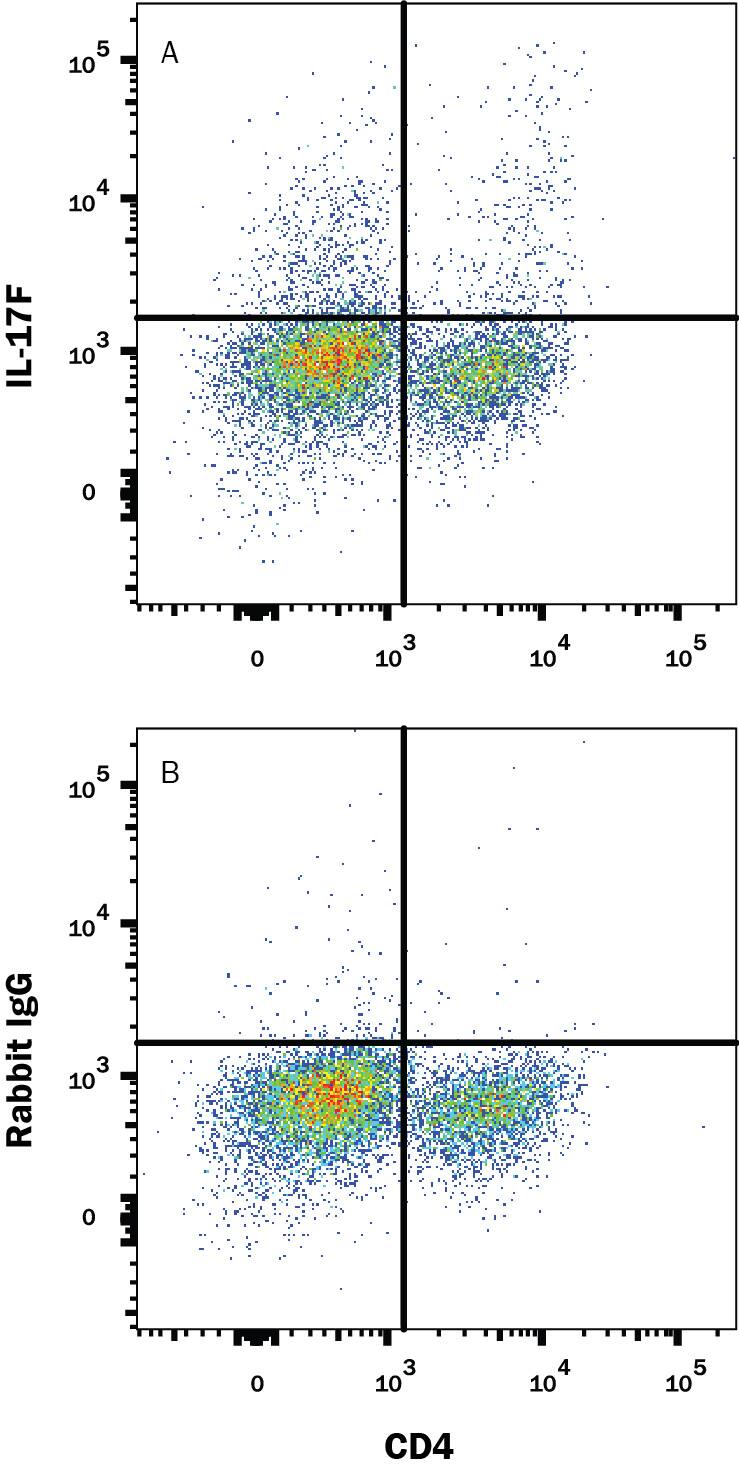 Mouse splenocytes stimulated to induce Th17 cells were stained with Rat Anti-Mouse CD4 APC-conjugated Monoclonal Antibody (Catalog # FAB554A) and either (A) Rabbit Anti-Mouse IL-17F PE-conjugated Monoclonal Antibody (Catalog # IC20571P) or (B) Normal Rabbit IgG Phycoerythrin Control (Catalog # IC105P). To facilitate intracellular staining, cells were fixed with Flow Cytometry Fixation Buffer (Catalog # FC004) and permeabilized with Flow Cytometry Permeabilization/Wash Buffer I (Catalog # FC005). View our protocol for Staining Intracellular Molecules.