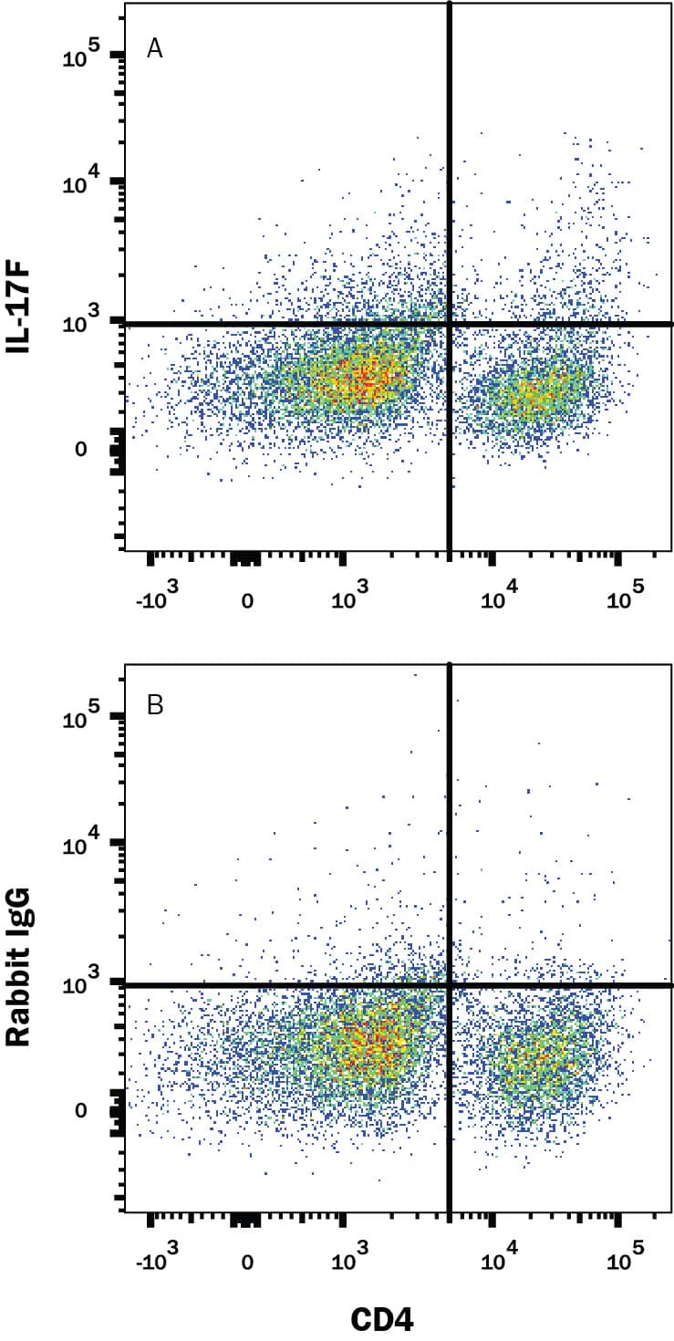 Mouse splenocytes stimulated to induce Th17 cells were stained with Rat Anti-Mouse CD4 PE-conjugated Monoclonal Antibody (Catalog # FAB554P) and either (A) Rabbit Anti-Mouse IL-17F Alexa Fluor® 647-conjugated Monoclonal Antibody (Catalog # IC20571R) or (B) Normal Rabbit IgG Alexa Fluor® 647-conjugated Control. To facilitate intracellular staining, cells were fixed with Flow Cytometry Fixation Buffer (Catalog # FC004) and permeabilized with Flow Cytometry Permeabilization/Wash Buffer I (Catalog # FC005). View our protocol for Staining Intracellular Molecules.