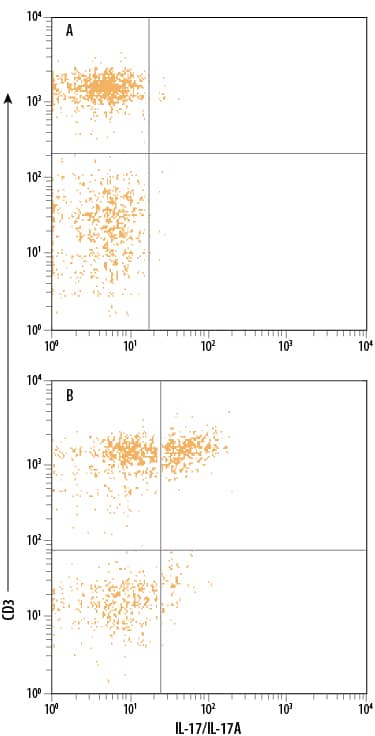 Human peripheral blood mononuclear cells (PBMCs) either (A) untreated or (B) treated with PMA and Calcium Ionomycin were stained with Mouse Anti-Human IL-17/IL-17A APC-conjugated Monoclonal Antibody (Catalog # IC3171A) and Mouse Anti-Human CD3e PE-conjugated Monoclonal Antibody (Catalog # FAB100P). Quadrant markers were set based on control antibody staining (Catalog # IC002A). To facilitate intracellular staining, cells were fixed with Flow Cytometry Fixation Buffer (Catalog # FC004) and permeabilized with Flow Cytometry Permeabilization/Wash Buffer I (Catalog # FC005). View our protocol for Staining Intracellular Molecules.