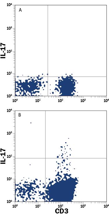 Human peripheral blood mononuclear cells (PBMCs) either (A) untreated or (B) stimulated to induce Th17 cells were stained with Mouse Anti-Human IL-17/IL-17A Alexa Fluor® 488-conjugated Monoclonal Antibody (Catalog # IC317G) and Mouse Anti-Human CD3e APC-conjugated Monoclonal Antibody (Catalog # FAB100A). Quadrant markers were set based on control antibody staining (Catalog # IC0041G). To facilitate intracellular staining, cells were fixed with Flow Cytometry Fixation Buffer (Catalog # FC004) and permeabilized with Flow Cytometry Permeabilization/Wash Buffer I (Catalog # FC005). View our protocol for Staining Intracellular Molecules.