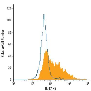 K562 human chronic myelogenous leukemia cell line was stained with Mouse Anti-Human IL-17 RB PerCP-conjugated Monoclonal Antibody (Catalog # FAB1207C, filled histogram) or isotype control antibody (Catalog # IC0041C, open histogram). View our protocol for Staining Membrane-associated Proteins.