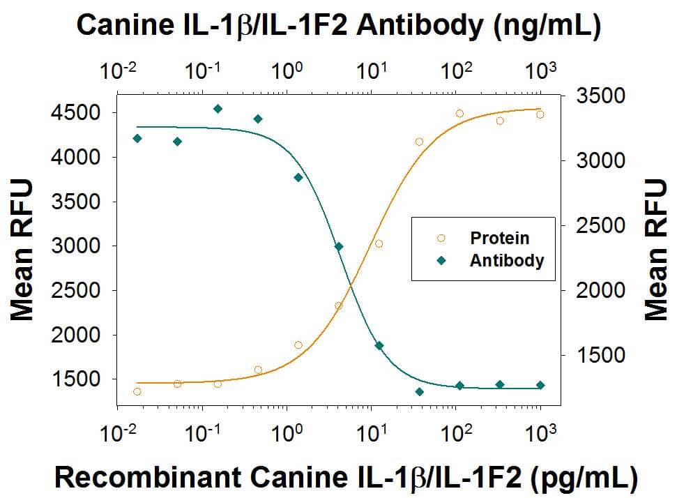 Recombinant Canine IL-1 beta /IL-1F2 (Catalog # 3747-CL) stimulates proliferation in the the D10.G4.1 mouse helper T cell line in a dose-dependent manner (orange line), as measured by Resazurin (Catalog # AR002) . Proliferation elicited by Recombinant Canine IL-1 beta /IL-1F2 (20 pg/mL) is neutralized (green line) by increasing concentrations of Sheep Anti-Canine IL-1 beta /IL-1F2 Antigen Affinity-purified Polyclonal Antibody (Catalog # AF37471). The ND50 is typically 3‑18 ng/mL.