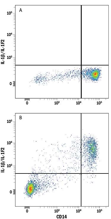 Human peripheral blood monocytes either (A) untreated or (B) treated with 250 ng/mL LPS overnight were stained with Rabbit Anti-Human IL-1 beta /IL-1F2 APC-conjugated Monoclonal Antibody (Catalog # IC8406A) and Mouse Anti-Human CD14 PE-conjugated Monoclonal Antibody (Catalog # FAB3832P). Quadrant markers were set based on control antibody staining (Catalog # IC105A). To facilitate intracellular staining, cells were fixed with Flow Cytometry Fixation Buffer (Catalog # FC004) and permeabilized with Flow Cytometry Permeabilization/Wash Buffer I (Catalog # FC005). View our protocol for Staining Intracellular Molecules.