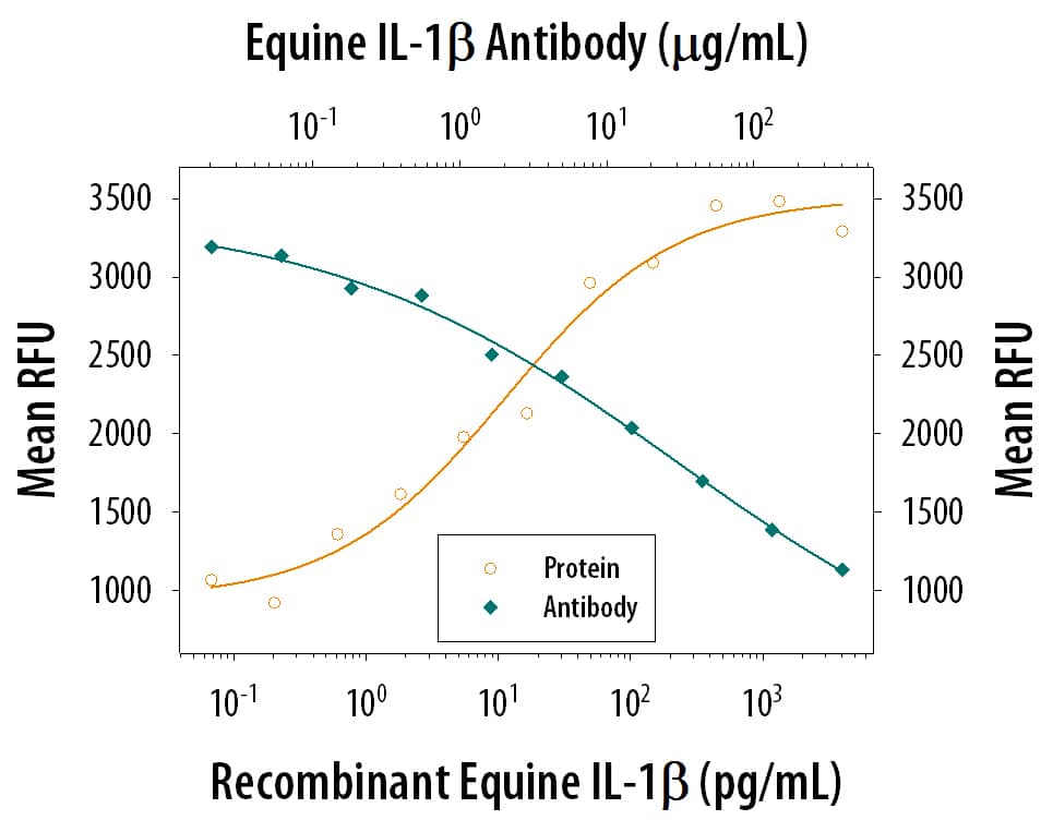 Recombinant Equine IL‑1 beta /IL‑1F2 induces proliferation in the D10.G4.1 mouse helper T cell line in the presence of concanavalin A (1.25 μg/mL) in a dose-depend­ent manner (orange line), as measured by the Resazurin (Catalog # AR002). Under these conditions, proliferation elicited by IL‑1 beta /IL‑1F2 is neutralized (green line) by increasing concen­trations of Mouse Anti-Equine IL‑1 beta /IL‑1F2 Monoclonal Antibody (Catalog # MAB8049). The ND50 is typically 2-10 μg/mL.