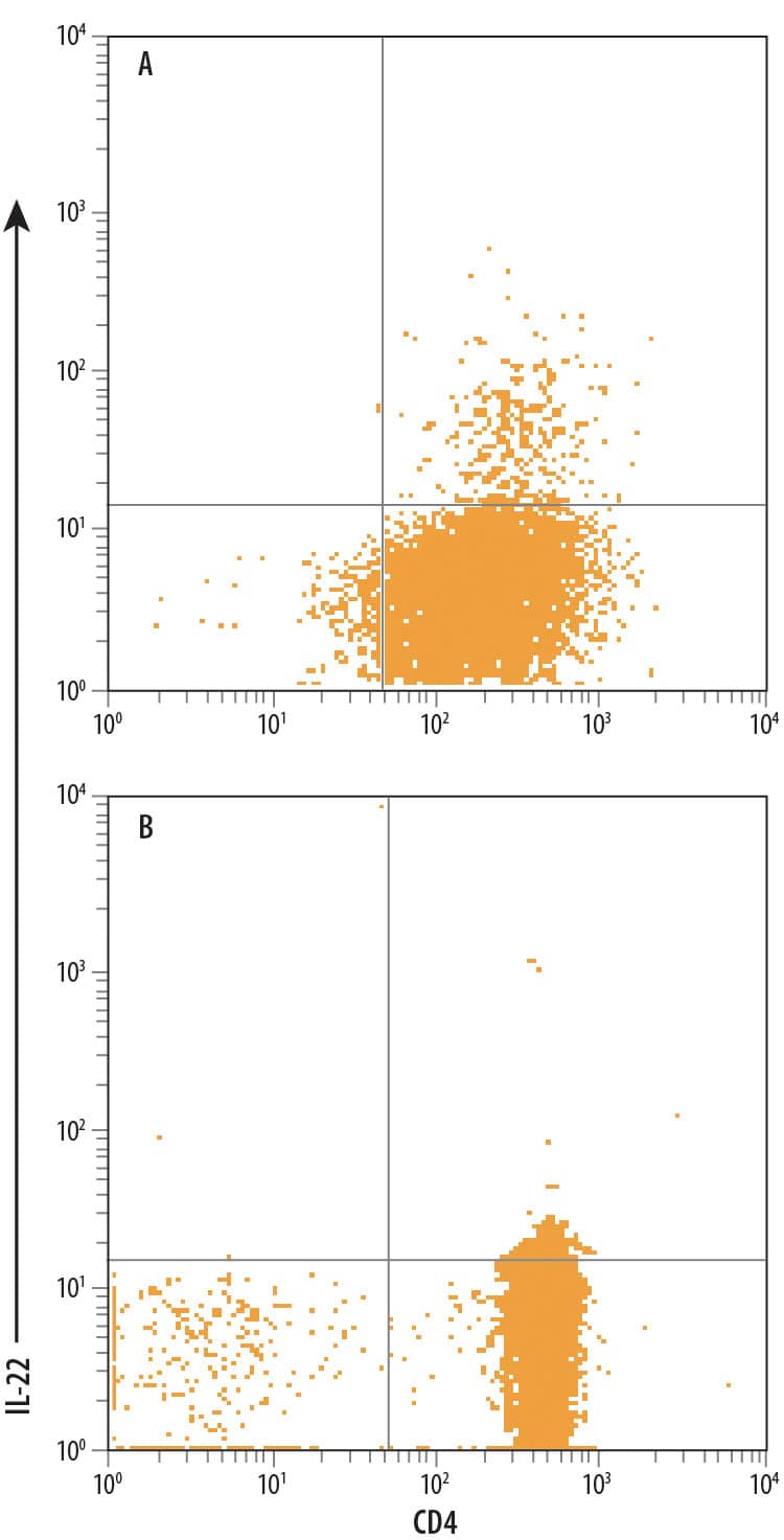 CD4+Human peripheral blood mononuclear cells (PBMCs) either (A) stimulated to induce Th17 cells with 10 ug/mL Mouse Anti-Human CD3e Monoclonal Antibody (Catalog # MAB100), 5 ug/mL Mouse Anti-Human CD28 Monoclonal Antibody (Catalog # MAB342), 10 ng/mL Recombinant Human TGF-beta 1 (Catalog # 240-B), 20 ng/mL Recombinant Human IL-2 (Catalog # 202-IL), 20 ng/mL Recombinant Human IL-23 (Catalog # 1290-IL), 40 ng/mL Recombinant Human IL-6 (Catalog # 206-IL), and 10 ng/mL Recombinant Human IL-1 beta /IL-1F2 (Catalog # 201-LB) for 5 to 7 days, then re-stimulated with 50 ng/mL PMA and 200 ng/mL Calcium ionomycin for 2 to 4 hours or (B) resting CD4+PBMCs were stained with Mouse Anti-Human CD4 PE-conjugated Monoclonal Antibody (Catalog # FAB3791P) and Mouse Anti-Human IL-22 APC-conjugated Monoclonal Antibody (Catalog # IC7821A). Quadrant markers were set based on isotype control (Catalog # IC002A). To facilitate intracellular staining, cells were fixed with paraformaldehyde and permeabilized with saponin. View our protocol for Staining Intracellular Molecules.