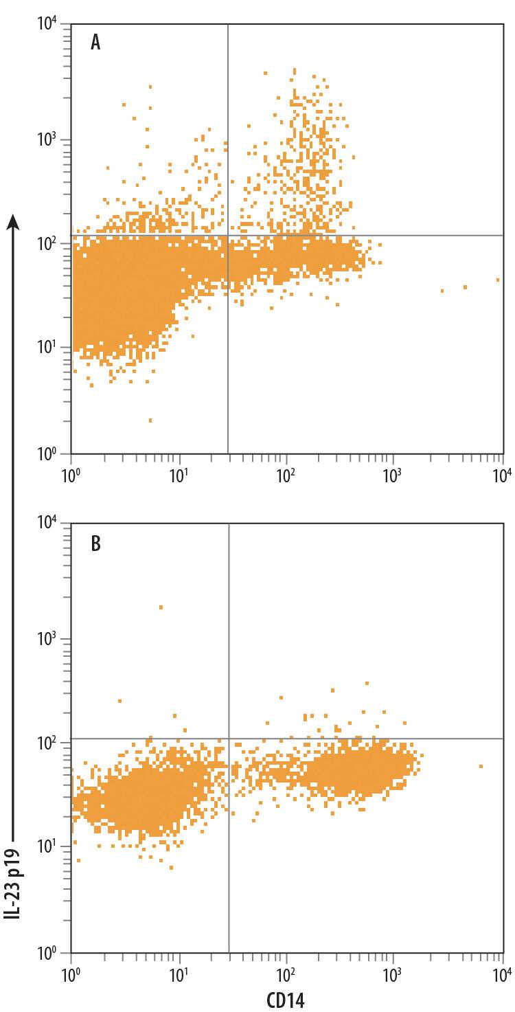 Human peripheral blood mononuclear cells (PBMCs) either (A) treated with LPS or (B) untreated, were stained with Mouse Anti-Human CD14 APC-conjugated Monoclonal Antibody (Catalog # FAB3832A) and Mouse Anti-Human IL-23 p19 Alexa Fluor® 488-conjugated Monoclonal Antibody (Catalog # IC17161G). Quadrant markers were set based on isotype control (Catalog # IC0041G). To facilitate intracellular staining, cells were fixed with Flow Cytometry Fixation Buffer (Catalog # FC004) and permeabilized with Flow Cytometry Permeabilization/Wash Buffer I (Catalog # FC005). View our protocol for Staining Intracellular Molecules.