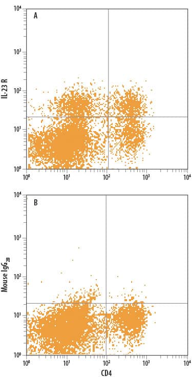 Human peripheral blood mononuclear cells (PBMCs) treated with 50 ng/mL PMA, 200 ng/mL Calcium Ionomycin, 200 ng/mL LPS, 20 ng/mL Recombinant Human IL-23 (Catalog # 1290-IL), and 40 ng/mL Recombinant Human IL-6 (Catalog # 206-IL) overnight to induce Th17 development were stained with Mouse Anti-Human CD4 APC-conjugated Monoclonal Antibody (Catalog # FAB3791A) and either (A) Mouse Anti-Human IL-23 R Fluorescein-conjugated Monoclonal Antibody (Catalog # FAB14001F) or (B) Mouse IgG2BFluorescein Isotype Control (Catalog # IC0041F). View our protocol for Staining Membrane-associated Proteins.