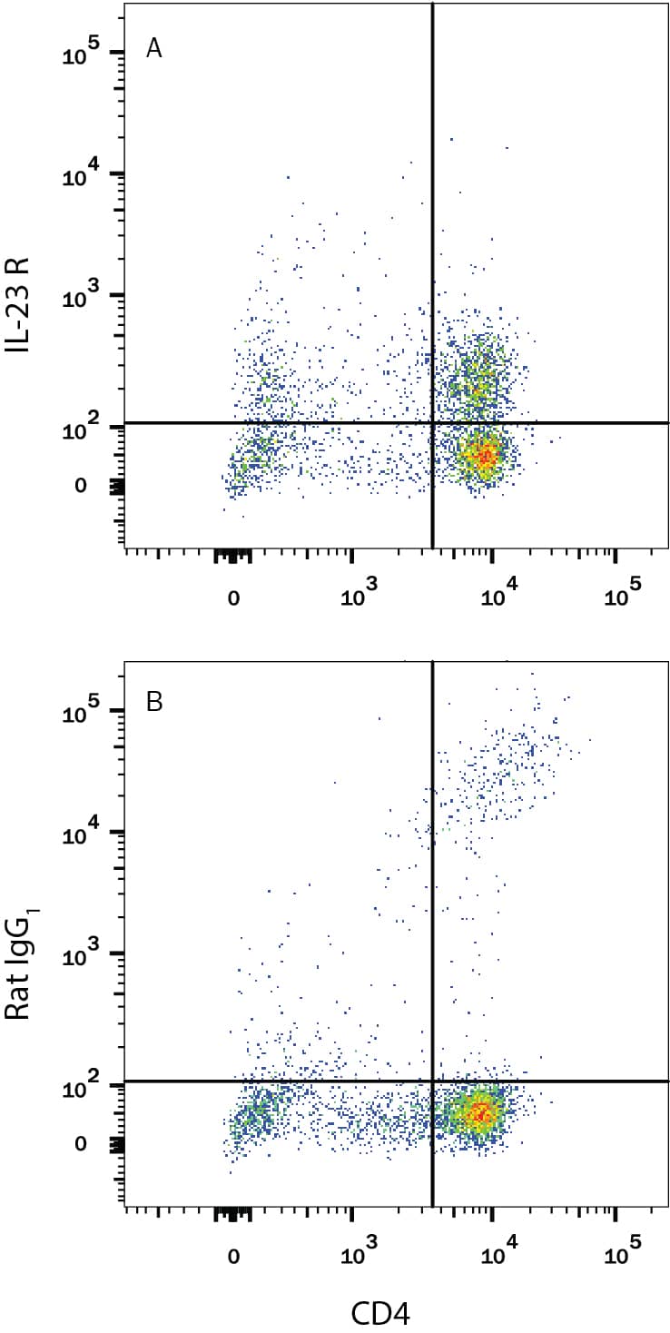 Mouse splenocytes treated with 10 µg/mL Anti-CD3 (Catalog # MAB484), 5 µg/mL Anti-CD28 (Catalog # AF483), 10 ng/mL Recombinant Mouse TGF-beta 1 (Catalog # 100-B), 20 ng/mL Recombinant Mouse IL-23 (Catalog # 1887-ML), 40 ng/mL Recombinant Mouse IL-6 (Catalog # 406-ML), and 10 ng/mL Recombinant Mouse IL-1 beta  (Catalog # 401-ML) for 5 days to induce T17 activation were stained with Rat Anti-Mouse CD4 APC-conjugated Monoclonal Antibody (Catalog # FAB554A) and either (A) Rat Anti-Mouse IL-23 R PE-conjugated Monoclonal Antibody (Catalog # FAB16861P) or (B) Rat IgG1Phycoerythrin Isotype Control (Catalog # IC005P). View our protocol for Staining Membrane-associated Proteins.