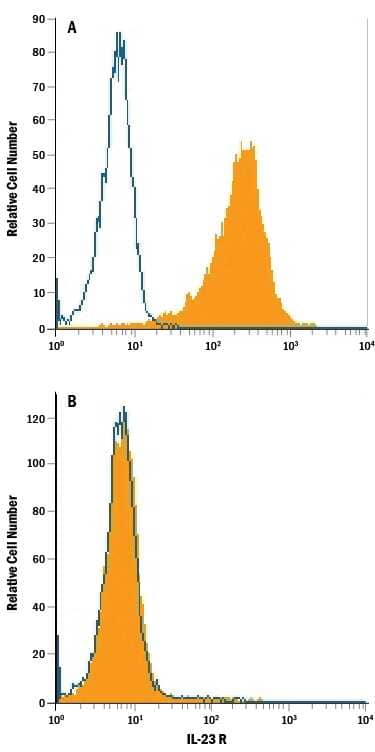 HEK293 human embryonic kidney cell line transfected with (A) mouse IL-23 R or (B) irrelevant transfectants was stained with Rat Anti-Mouse IL-23 R PE-conjugated Monoclonal Antibody (Catalog # FAB16861P, filled histogram) or isotype control antibody (Catalog # IC005P, open histogram). View our protocol for Staining Membrane-associated Proteins.