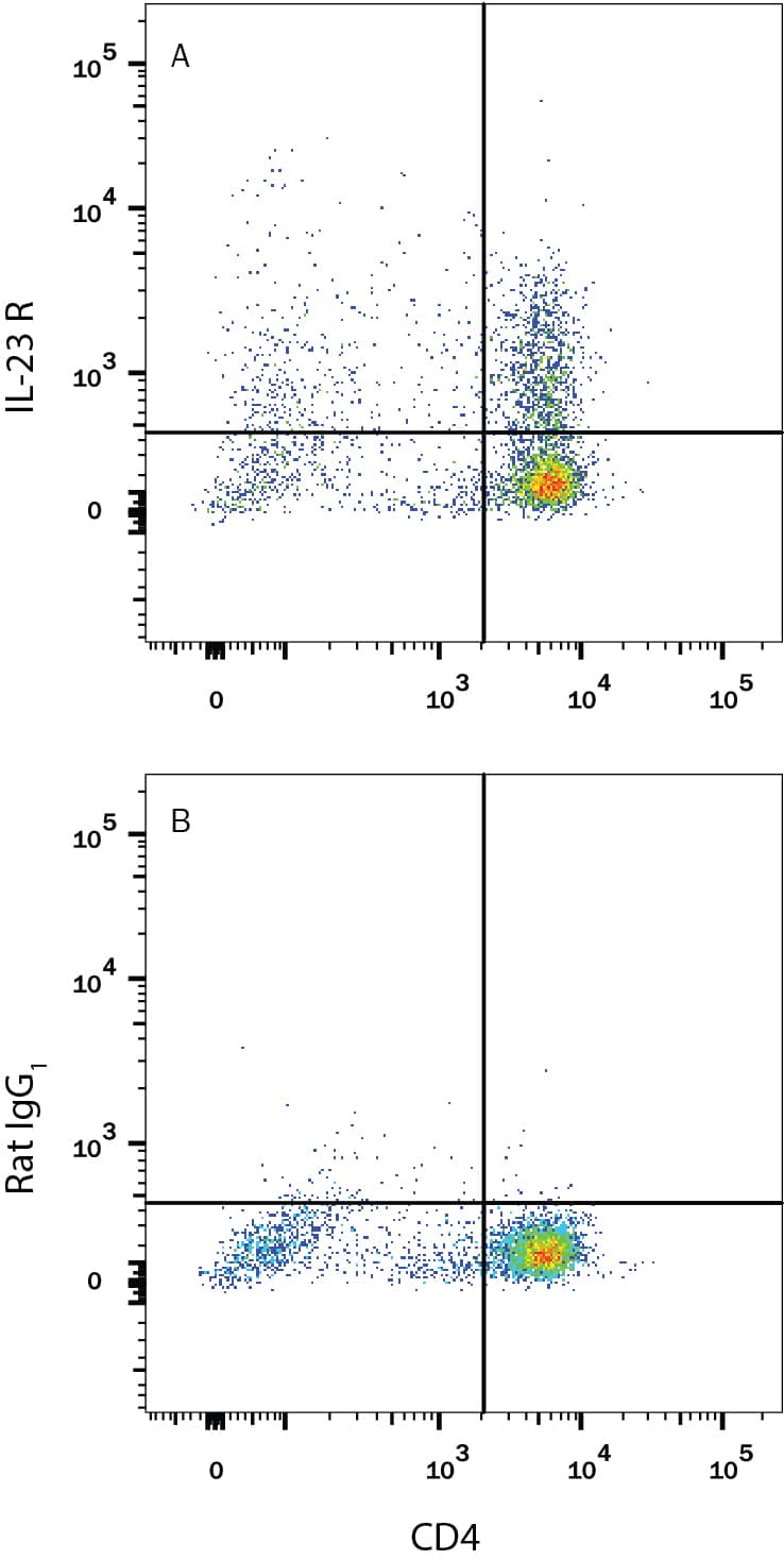 Mouse splenocytes treated with 10 µg/mL Anti-Mouse CD3 Antibody (Catalog # MAB484), 5 µg/mL Anti-Mouse CD28 Antibody (Catalog # AF483), 10 ng/mL Recombinant Mouse TGF-beta 1 (Catalog # 100-B), 20 ng/mL Recombinant Mouse IL-23 (Catalog # 1887-ML), 40 ng/mL Recombinant Mouse IL-6 (Catalog # 406-ML), and 10 ng/mL Recombinant Mouse IL-1 beta (Catalog # 401-ML) for 5 days to induce Th17 activation were stained with Rat Anti-Mouse CD4 PE-conjugated Monoclonal Antibody (Catalog # FAB554P) and either (A) Rat Anti-Mouse IL-23 R APC-conjugated Monoclonal Antibody (Catalog # FAB16861A) or (B) Rat IgG1 APC Isotype Control (Catalog # IC005A). Data shown is from the APC-conjugated version of this clone. Conjugation to a bright fluorochrome is suggested due to the low expression level of IL-23 R. View our protocol for Staining Membrane-associated Proteins.