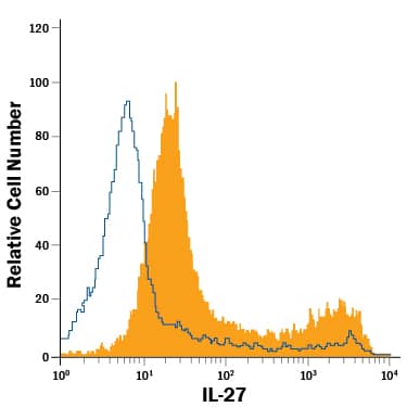 Human peripheral blood mononuclear cells (PBMCs) were stained with Mouse Anti-Human IL-27 APC-conjugated Monoclonal Antibody (Catalog # IC25261A, filled histogram) or isotype control antibody (Catalog # IC003A, open histogram). View our protocol for Staining Intracellular Molecules.