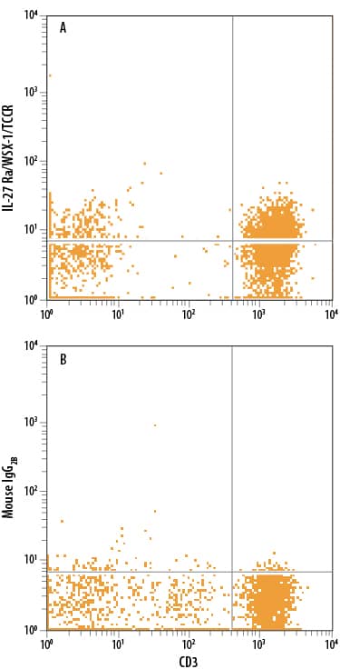 Human peripheral blood mononuclear cell (PBMC) lymphocytes were stained with Mouse Anti-Human CD3e APC-conjugated Monoclonal Antibody (FAB100A) and either (A) Mouse Anti-Human IL-27 Ra/WSX-1/TCCR PE-conjugated Monoclonal Antibody (Catalog # FAB14791P) or (B) Mouse IgG2BPhycoerythrin Isotype Control (IC0041P). View our protocol for Staining Membrane-associated Proteins.
