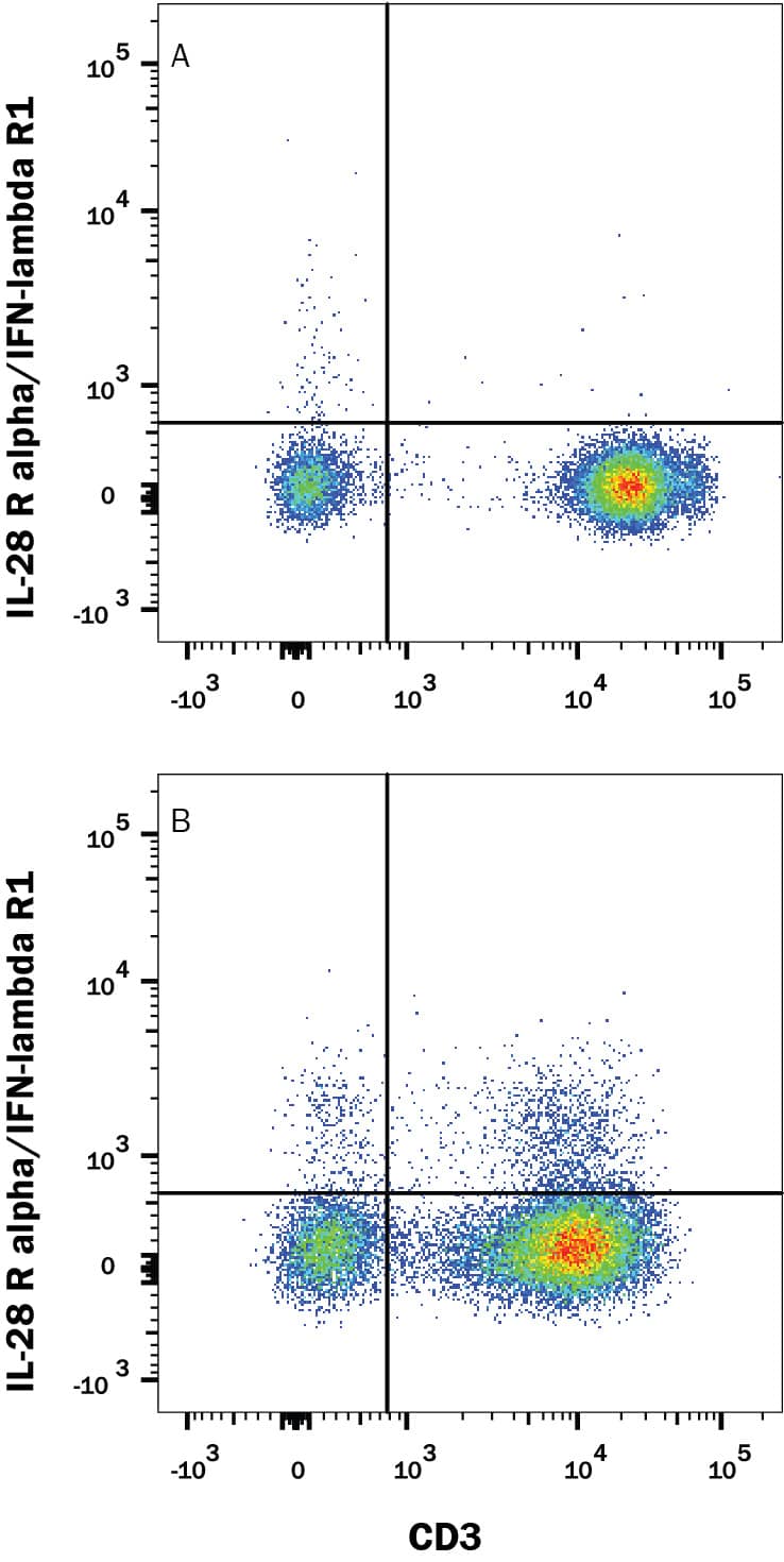 Peripheral blood mononuclear cells (PBMCs) either untreated (A) or treated (B) with 50 ng/mL PMA and 200 ng/mL calcium ionomycin overnight were stained with Mouse Anti-Human IL-28 Ra/IFN-lambda R1 PE-conjugated Monoclonal Antibody (Catalog # FAB5260P) and Mouse Anti-Human CD3e APC-conjugated Monoclonal Antibody (Catalog # FAB100A). Quadrant markers were set based on control antibody staining (Catalog # IC002P). View our protocol for Staining Membrane-associated Proteins.
