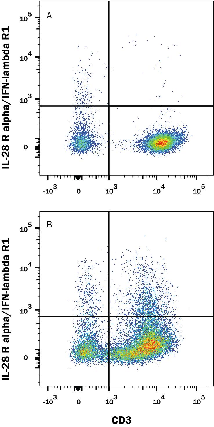 Peripheral blood mononuclear cells (PBMCs) either unstimulated (A) or treated (B) with 50 ng/mL PMA and 200 ng/mL calcium ionomycin overnight were stained with Mouse Anti-Human CD3e APC-conjugated Monoclonal Antibody (Catalog # FAB100A) and Mouse Anti-Human IL-28 Ra/IFN-lambda R1 Monoclonal Antibody (Catalog # MAB5260) followed by Phycoerythrin-conjugated Anti-Mouse IgG Secondary Antibody (Catalog # F0102B). View our protocol for Staining Membrane-associated Proteins.