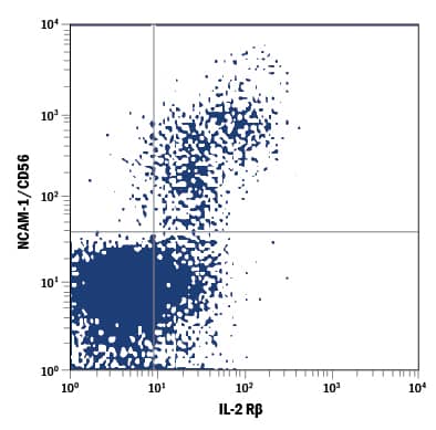 Human peripheral blood lymphocytes were stained with Mouse Anti-Human IL-2 R beta  PE-conjugated Monoclonal Antibody (Catalog # FAB224P) and Mouse Anti-Human NCAM-1/CD56 APC-conjugated Monoclonal Antibody (Catalog # FAB2408A). Quadrant markers were set based on control antibody staining (Catalog # IC002P). View our protocol for Staining Membrane-associated Proteins.