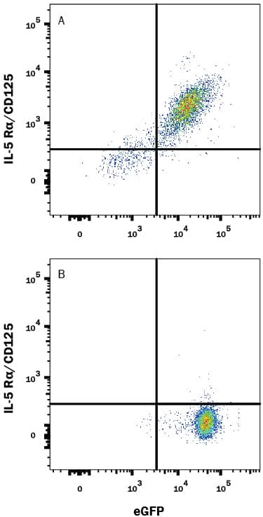 HEK293 human embryonic kidney cell line transfected with either (A) human IL-5 Ra/CD125 or (B) irrelevant transfectants and eGFP was stained with Mouse Anti-Human IL-5 Ra/CD125 Monoclonal Antibody (Catalog # MAB253) followed by Phycoerythrin-conjugated Anti-Mouse IgG Secondary Antibody (Catalog # F0102B). Quadrant markers were set based on control antibody staining (Catalog # MAB002). View our protocol for Staining Membrane-associated Proteins.