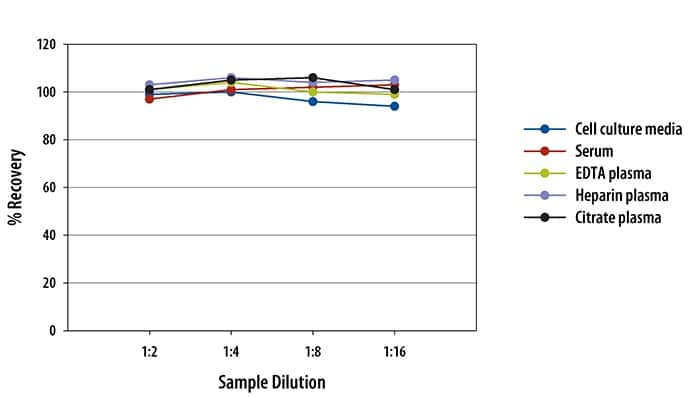 Human IL-6 Quantikine ELISA Kit