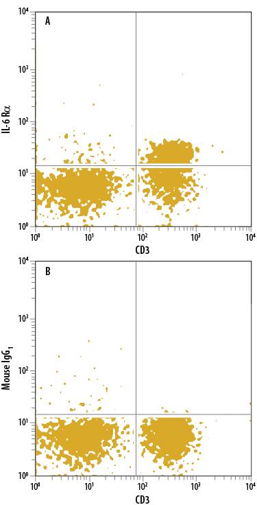Human peripheral blood lymphocytes were stained with Mouse Anti-Human CD3e APC-conjugated Monoclonal Antibody (FAB100A) and either (A) Mouse Anti-Human IL-6 Ra Fluorescein-conjugated Monoclonal Antibody (Catalog # FAB227F) or (B) Mouse IgG1Fluorescein Isotype Control (IC002F). View our protocol for Staining Membrane-associated Proteins.