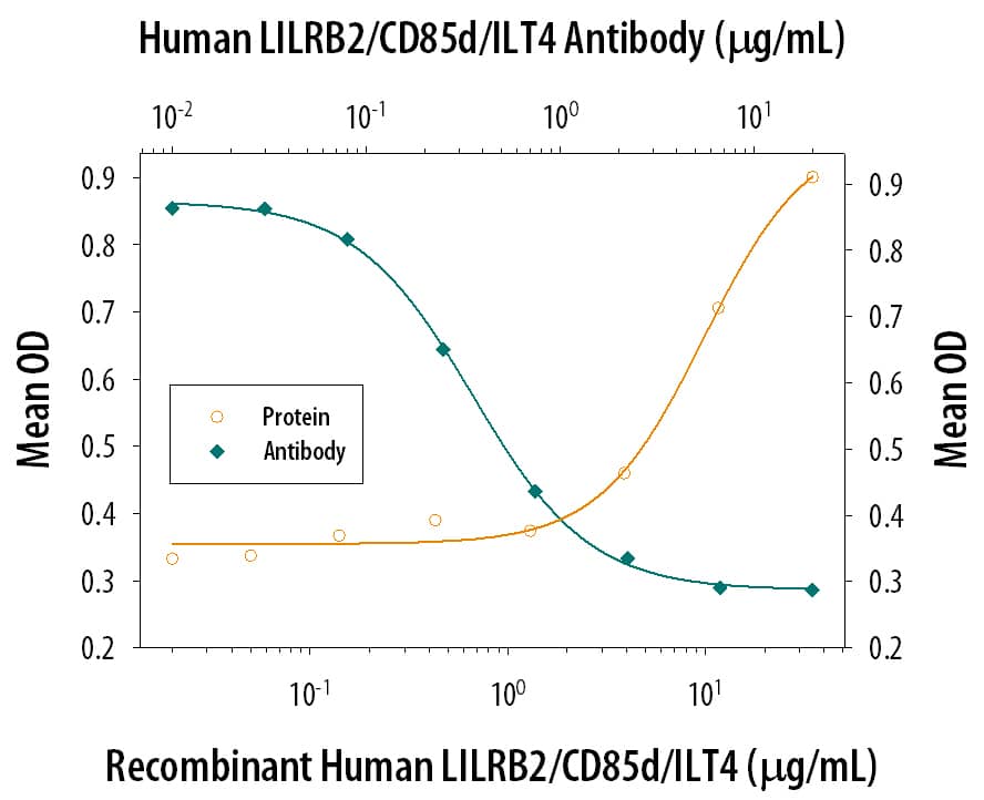 Recombinant Human LILRB2/CD85d/ILT4 Fc Chimera (Catalog # 2078-T4), immobilized onto a microplate, supports the adhesion of the HSB2 human peripheral blood acute lymphoblastic leukemia cell line in a dose-dependent manner (orange line). Adhesion elicited by Recombinant Human LILRB2/CD85d/ILT4 Fc Chimera (35 µg/mL) is neutralized (green line) by increasing concentrations of Goat Anti-Human LILRB2/CD85d/ILT4 Antigen Affinity-purified Polyclonal Antibody (Catalog # AF2078). The ND50 is typically 0.3-1.0 µg/mL.