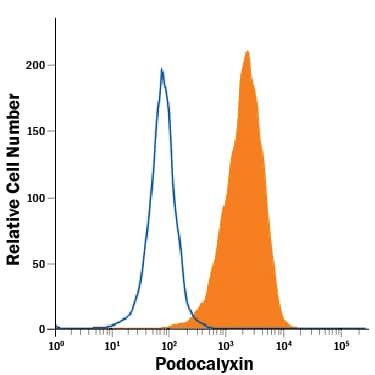 BG01V human embryonic stem cells were stained with Mouse Anti-Human Podocalyxin Alexa Fluor® 488-conjugated Monoclonal Antibody (Catalog # FAB1658G, filled histogram) or Mouse IgG Alexa Fluor® 488-conjugated Isotype Control Antibody (Catalog # IC003G, open histogram). View our protocol for Staining Membrane-associated Proteins.