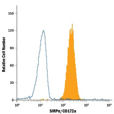 U937 human histiocytic lymphoma cell line was stained with Mouse Anti-Human SIRPa/CD172a Fluorescein-conjugated Monoclonal Antibody (Catalog # FAB4546F, filled histogram) or Mouse IgG Fluorescein -conjugated Isotype Control Antibody (Catalog # IC0041F, open histogram). View our protocol for Staining Membrane-associated Proteins.