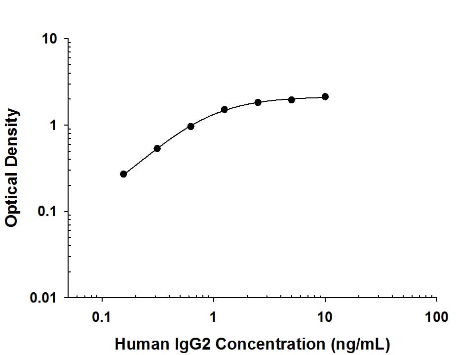     Recombinant  Human IgG2 protein was serially diluted 2-fold and  captured by Rabbit Anti-Human IgG2 Monoclonal Antibody  (Catalog # MAB97941) coated on a Clear Polystyrene Microplate  (Catalog # DY990).  Rabbit Anti-Human IgG Monoclonal Antibody (Catalog # MAB11012)  was biotinylated and incubated with the protein captured on the plate.  Detection of the standard curve was achieved by incubating Streptavidin-HRP  (Catalog # DY998)  followed by Substrate Solution (Catalog # DY999)  and stopping the enzymatic reaction with Stop Solution (Catalog #  DY994). 