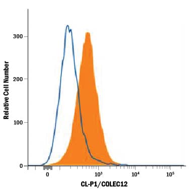 J774A.1 mouse reticulum cell sarcoma macrophage cell linewas stained with Goat Anti-MouseCL-P1/COLEC12 Antigen Affinity-purifiedPolyclonal Antibody (Catalog # AF3130,filled histogram) or isotype control antibody (Catalog # AB-108-C),open histogram), followed by Allophycocyanin-conjugated Anti-Goat IgG SecondaryAntibody (Catalog # F0108) at 10  μL/106 cells.  