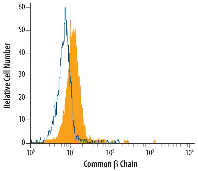Human peripheral blood lymphocytes were stained with GoatAnti-Human Common  beta  Chain Antigen Affinity-purified PolyclonalAntibody (Catalog # AF906,filled histogram) or control antibody (Catalog # AB-108-C,open histogram), followed by Fluorescein-conjugated Anti-Goat IgG SecondaryAntibody (Catalog # F0109) at 10 uL/106 cells.  